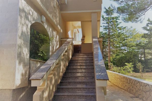 1-apartmentsvrtlici-a1-stairstoreachapartmenton1st-floorf0f19054-a012-1b43-4015-b200b686df20FC6897E4-362B-B449-895C-8F3ECB66B8EF.jpg